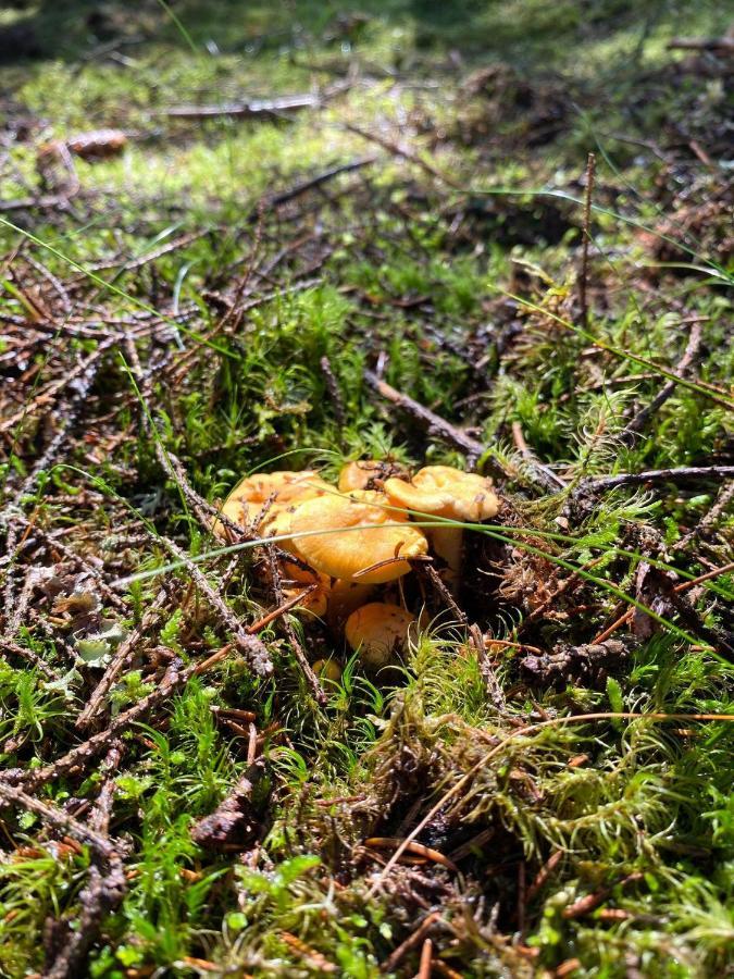 Joarsbo, Stuga 2, Gardsstugan Kalv Bagian luar foto