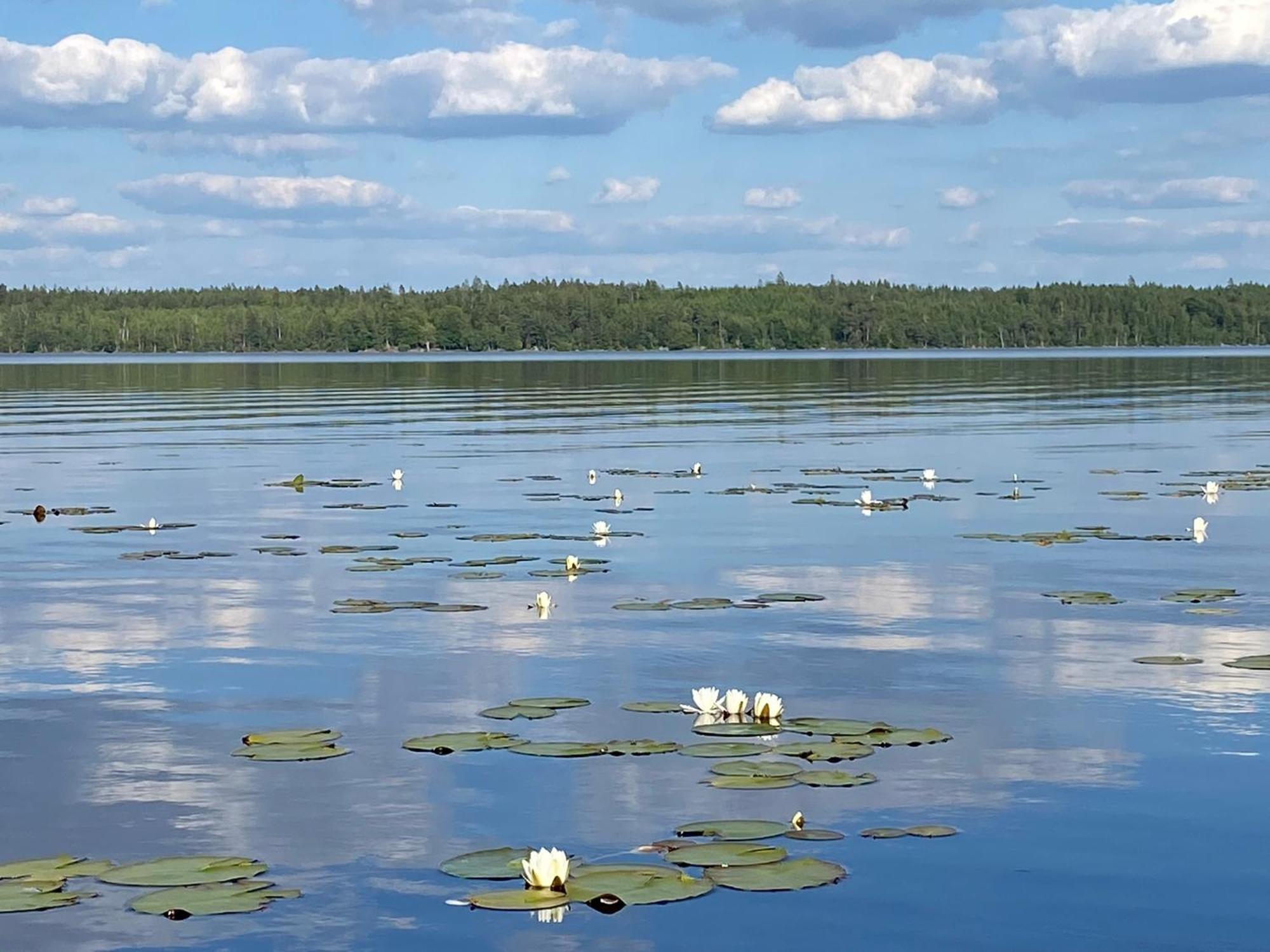 Joarsbo, Stuga 2, Gardsstugan Kalv Bagian luar foto